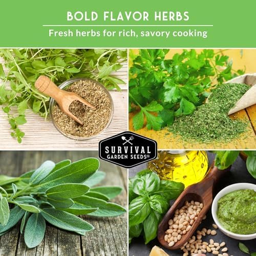 Italian Garden Herb Seeds for Planting, 5 Variety Pack - Image 5