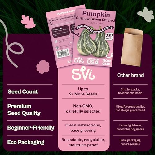 SVI 35 Cushaw Green Striped Pumpkin Seeds (Cucurbita mixta) – Cushaw Squash, Non GMO Winter Squash Seed Packets – Heirloom Vegetable Seeds for Planting Outdoors in Home Garden & Raised Beds - Image 6