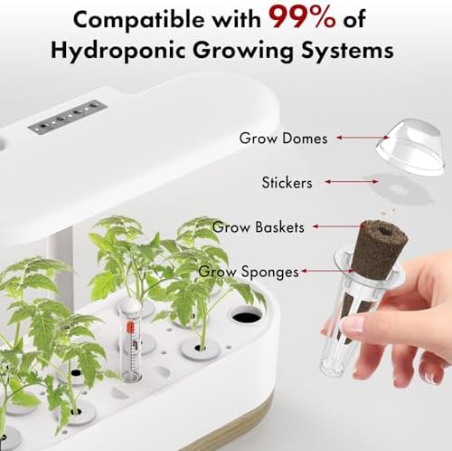 LYKOCLEAN Strawberry Seed Pods for AeroGarden, Ahopegarden, iDOO Hydroponics Growing System, 350 Seeds+ Including Red Cherry Tomato Golden Cherry Tomato, White Strawberry, Red Strawberry (12-Pods) - Image 6