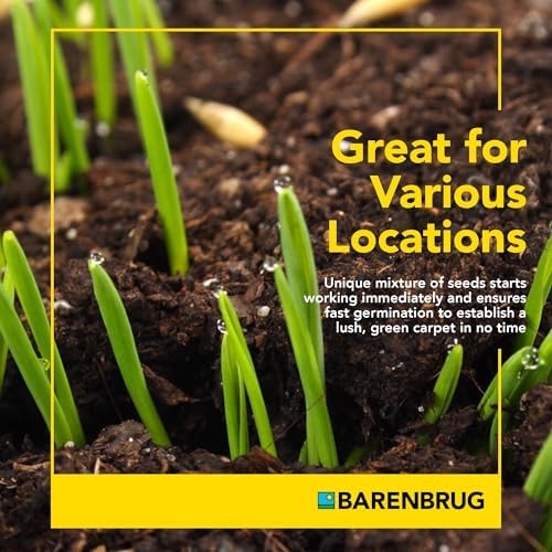Barenbrug Wonderlawn Perennial Ryegrass Grass Seed for Southern Lawns, Fast-Acting Durable Grass Seed Mix for All Weather Conditions, 3-lb. Bag - Image 2