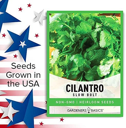 Gardeners Basics Cilantro Seeds for Planting Heirloom Non-GMO Herb Coriander Plant Seeds for Home Garden Vegetables Makes a Great Gift for Gardening - Image 4