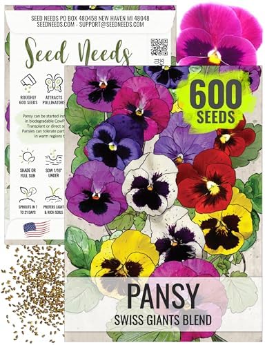 Seed Needs Swiss Giants Pansy Seeds to Plant a Mixture of Flowers 1 Pack by SeedNeeds