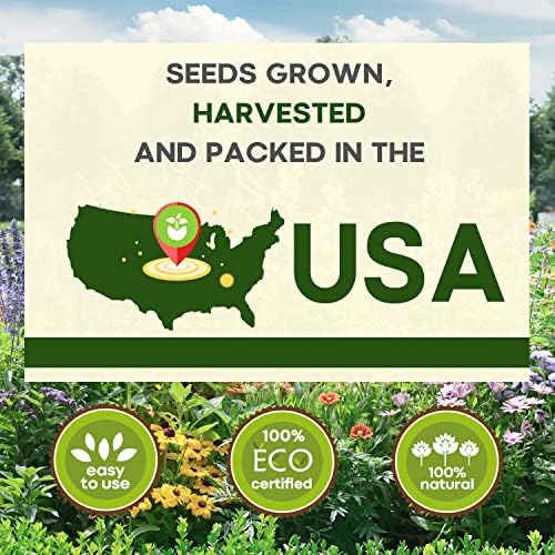 13,500+ Vegetable Fruit Seeds - Grow Your Own Garden Feast - 25 Veggie Fruit Heirloom Varieties- Mega Seed Starter Kit - Gardening Gift - Image 3
