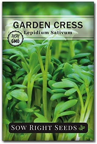 Sow Right Seeds - Garden Cress Seed for Planting Kitchen Herb Garden by SowRightSeeds