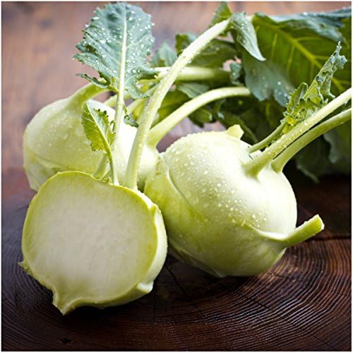 Seed Needs Kohlrabi Seeds Variety Pack of 2 Non-GMO & Heirloom Vegetables - Image 2