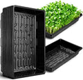 Sckee Upgraded 20 Pack Plant Growing Trays Seed Starting Tray Microgreens Growing Trays Seedling Plant Germination Starter Tray Transplant Fodder Flats, No Holes, No Leakage, Reusable (1015) by Sckee