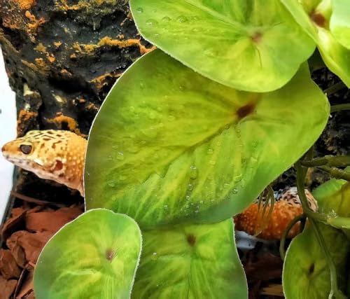 Reptile Plants for Terrarium,Habitat Decor,Hanging Plant with Suction Cup - Image 5
