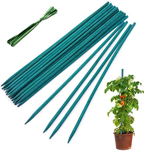 Plant Stakes 25Pcs,18IN Green Bamboo Sticks With25 Green Ties,Orchid Sticks by HAINANSTRY