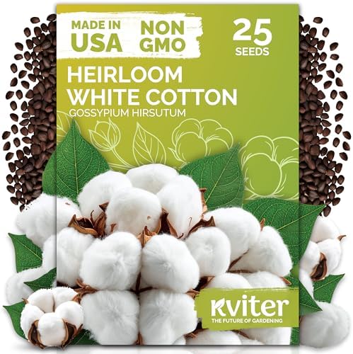 25 White Cotton Seeds for Planting, Gossypium Hirsutum by KVITER