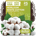 25 White Cotton Seeds for Planting, Gossypium Hirsutum by KVITER