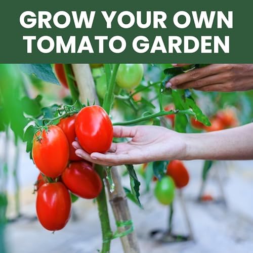 Tomato Seeds | 10 Individual Packs | 2026 Season | Non-GMO | Roma, Brandywine, Cherry & More! | for Planting Indoor & Outdoor | by Family Sown - Image 5