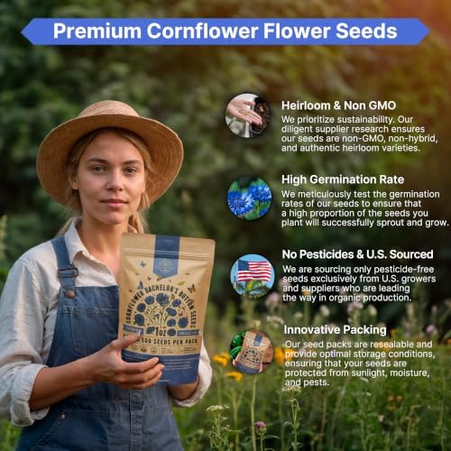Cornflower Bachelor's Button Tall Blue Seeds for Planting - 1 oz Pack, Approx. 5,500 Centaurea Cyanus Seeds for Outdoor Gardens, Cut Flowers and Pollinator Habitats - Image 6