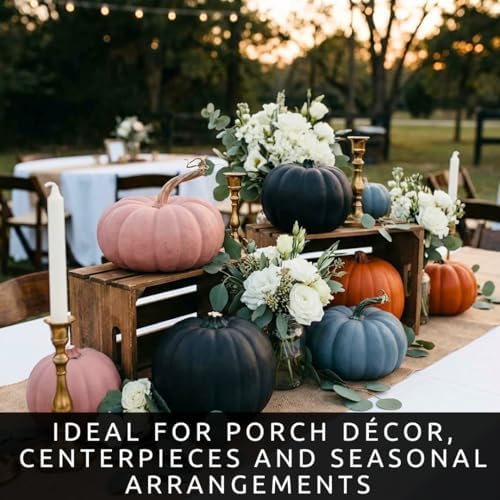 Bright and Colorful Pumpkin Patch Seeding Kit (20 Mixed Seeds) - Mix of Amazing Colors, Pink, Black, Blue, Orange White. Seeds for Planting - Image 5