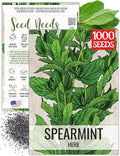 Seed Needs Spearmint Seeds to Plant an Herb Garden - 1 Pack by SeedNeeds