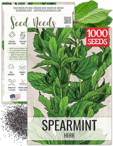 Seed Needs Spearmint Seeds to Plant an Herb Garden - 1 Pack by SeedNeeds