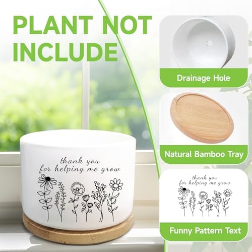 Thank You Gifts for Teacher, Succulent Plant Pot (Plants Not Included) - Image 4