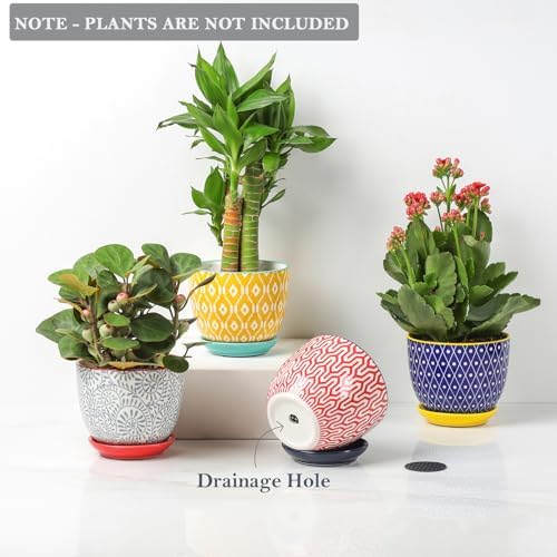 Selamica Ceramic Succulent Pots with Drainage Holes, Small Flower Pots 3.5 Inch Plant Pots for Indoor Plants with Saucers, Cactus Succulent, Home Decor, Set of 4, Assorted Colors - Image 4