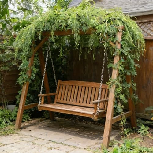 Mix Willow Tree Seeds for Planting, 26+pcs Perennial Willow Tree Seeds to Plant, Heirloom Non-GMO Beauty Bonsai Plants for Home Garden Indoors - Image 5