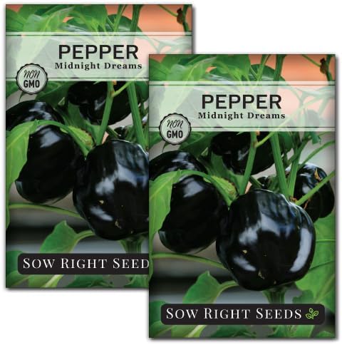 Sow Right Seeds - Midnight Dream Pepper Seed for Planting Bell Peppers 2pk by SowRightSeeds
