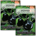 Sow Right Seeds - Midnight Dream Pepper Seed for Planting Bell Peppers 2pk by SowRightSeeds