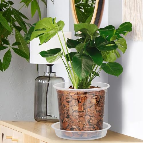 20 Pack 4 Inch Clear Nursery Pots with Drainage and Saucer, Clear Plastic Planter Pots for Plants, Flexible Seed Starting Pots for Succulents, Small Herbs, Annual Flowers (4 Inch) - Image 2