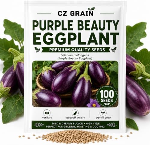 Purple Beauty Eggplant Seeds for Planting | 100 Seeds | Garden Vegetable by CZGrain