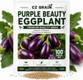 Purple Beauty Eggplant Seeds for Planting | 100 Seeds | Garden Vegetable by CZGrain