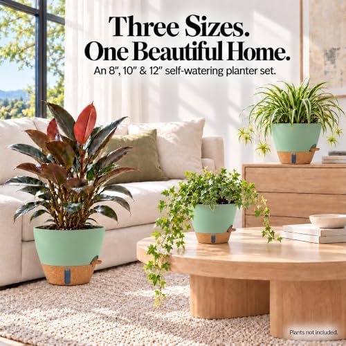 8/10/12 Inch Self Watering Pots for Indoor/Outdoor Plants - Image 2