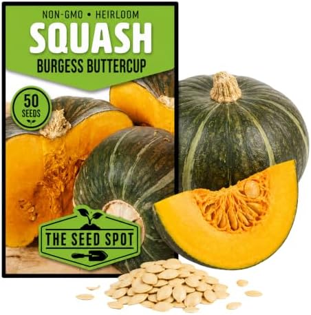 50+ Burgess Buttercup Squash Seeds for Planting - Heirloom Non GMO by Unknown