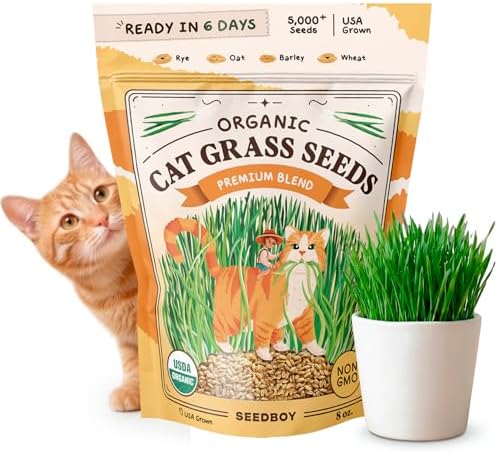 Organic Non-GMO Cat Grass Seeds for Planting Indoor (8 oz) by Seedboy