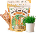 Organic Non-GMO Cat Grass Seeds for Planting Indoor (8 oz) by Seedboy