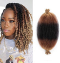 8 Packs Pre-Separated Springy Afro Twist Hair 12 Inch Pre-Fluffy Natural Curls are Perfect for Marley Crochet Hair Suitable for Black Women (1B/30/27, 12 Inch (Pack of 8)) by Celie