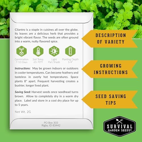Cilantro Seeds for Planting - Heirloom Coriander Seed (1 Pack) - Image 2