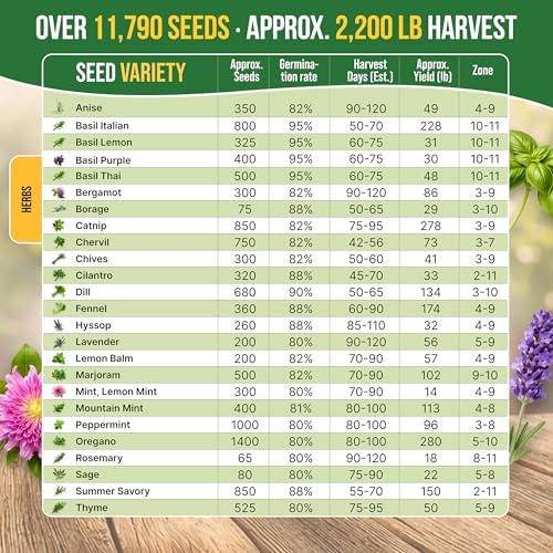 25 Most Popular Herb Seeds Variety Pack - 11,700 Non-GMO Heirloom Seeds for Planting Herbs in Individual Seed Packets for Hydroponic, Indoor & Outdoor Gardening - Image 3