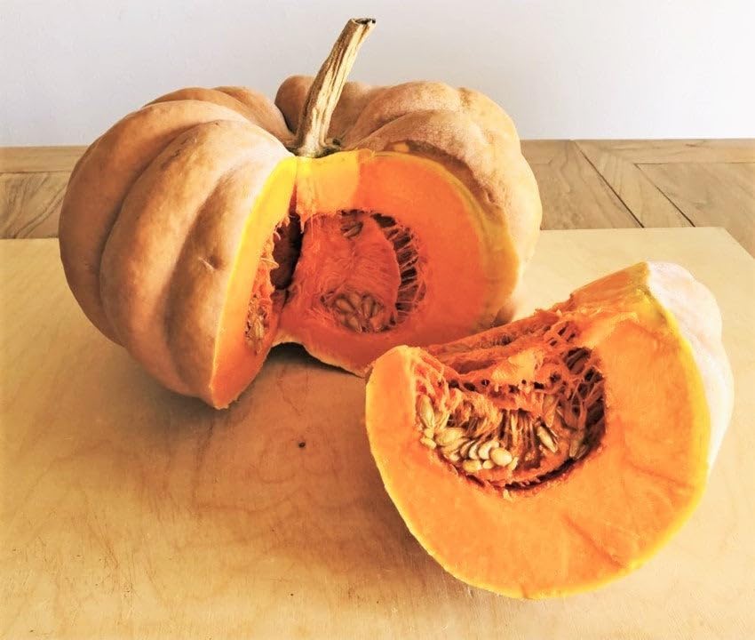 Fairytale Pumpkin (Musquee de Provence) Seeds - 40+ Count & 50+ Connecticut Field Pumpkin - for 2026 Planting French Cinderella Pumpkins Halloween Brown Winter Squash Vegetable - Image 3