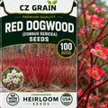 Seeds for Planting, 100 Red Dogwood by CZGrain