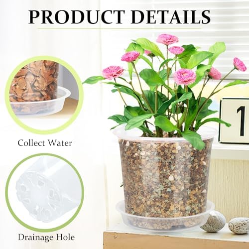20 Pack 4 Inch Clear Nursery Pots with Drainage and Saucer, Clear Plastic Planter Pots for Plants, Flexible Seed Starting Pots for Succulents, Small Herbs, Annual Flowers (4 Inch) - Image 4