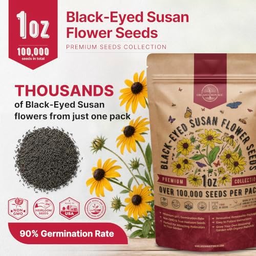 Black Eyed Susan Flower Seeds Pack 1 oz - Over 100,000 Rudbeckia Hirta Seeds Non-GMO Heirloom, Wildflowers in Individual Packet, Home & Garden Planting Indoor & Outdoor Gardening - Image 3