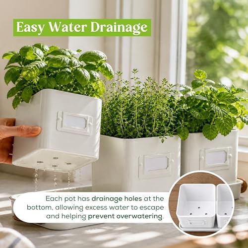 volila Herb Planter Indoor - Set of 3 Warmstone Indoor Herb Garden Pots for Plants with Leather Handled Tray - Window Sill Plant Shelf - Herb Pots with Drainage Holes and Labels - Image 4