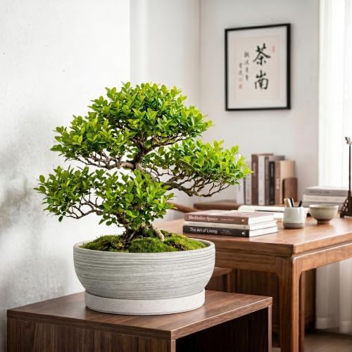 13 Inch Ceramic Bonsai Pots with Saucer, Brushed Grey - Image 3