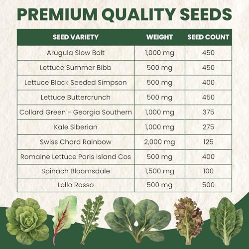 Leafy Greens Seeds | 10 Individual Packs | 2026 Season | Non-GMO | Lettuce, Kale, Spinach, Arugula & More! | for Planting Indoor & Outdoor | by Family Sown - Image 3