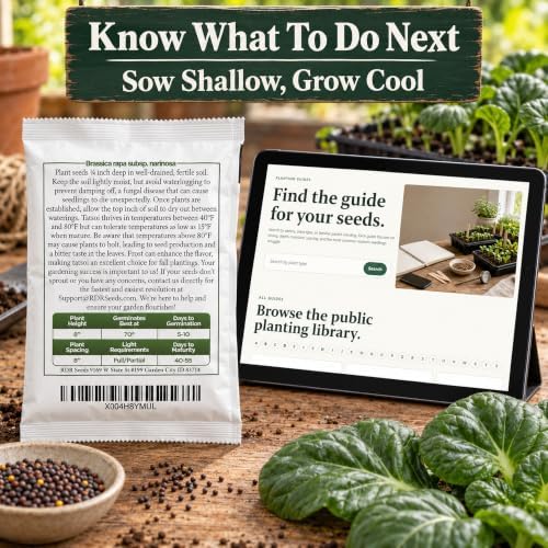 1000 Black Knight Tatsoi Mustard Seeds for Planting – Heirloom, Non-GMO, USA Grown Asian Greens with Premium Waterproof Packaging Brassica rapa subsp. narinosa by RDR Seeds - Image 6