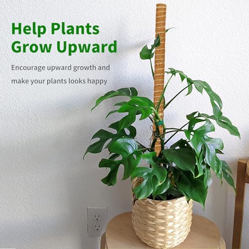 ALENEY Moss Pole, 8 Pack 23.6inch Stackable Moss Poles for Plants Monstera Plant Support, Coir Totem Pole Tall Moss Pole for Climbing Plants, Sphagnum, Indoor Potted Plants - Image 2