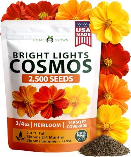 HOME GROWN Cosmos Bright Lights Mix 2500 Flower Seeds Cosmos sulphureus by HOMEGROWN