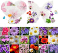 48PCS Plantable Seed Paper Hearts & Butterflies – Wildflower Embedded Paper, Unique Gifts for Mothers, Garden Lovers, Weddings, Bridal Showers, Birthdays & Special Celebrations by BuggyBeds