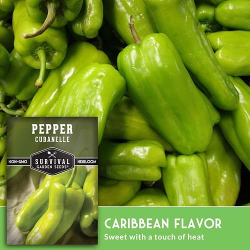 Cubanelle Pepper Seeds for Planting - 2 Packs - Image 4