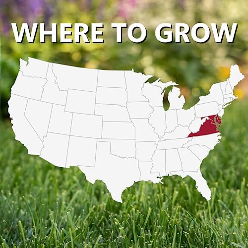 Jonathan Green Black Beauty Delmarva Grass Seed - 25 lb - Image 4
