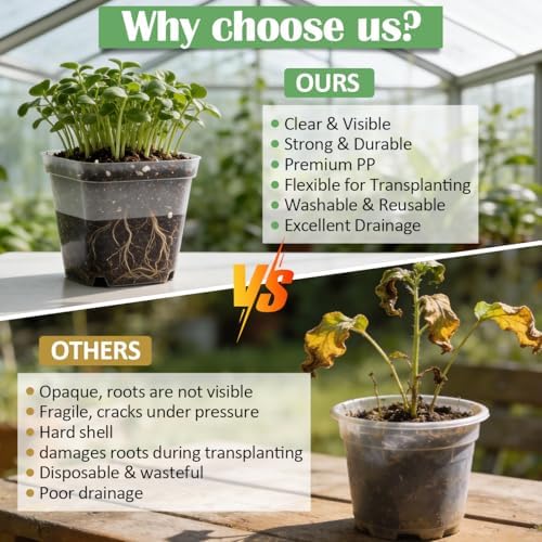 RooTrimmer 60 Pcs Clear Square Nursery Pots 4 Inch, Reusable Seedling Pots with Drainage Holes, Transparent Small Plant Potting Pot Containers for Seedlings Microgreens, Flowers, Indoor Gardening - Image 5