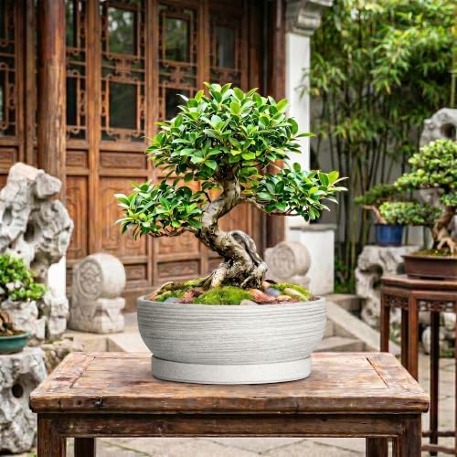13 Inch Ceramic Bonsai Pots with Saucer, Brushed Grey - Image 7