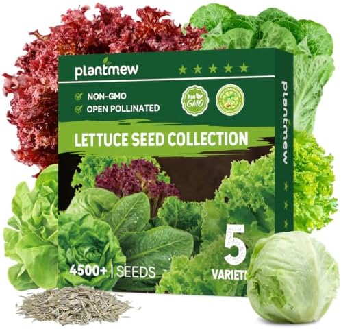 Heirloom Lettuce Seeds - 5 Varieties Lettuce Seeds for Planting - Black Seeded Simpson, Iceberg, Buttercrunch, Parris Island Cos & Lolla Rossa Lettuce - Home Garden & Hydroponic Seeds by PLANTMEW
